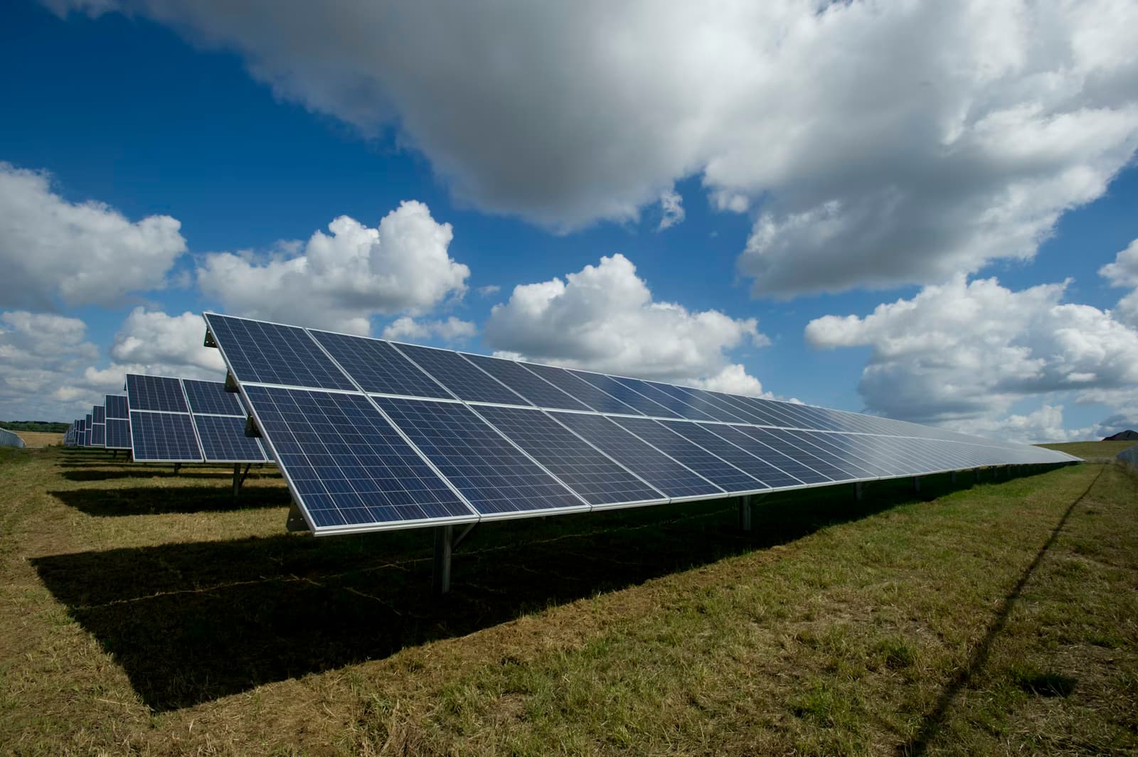 Rows of blue solar panels stand in a sunny field under a partly cloudy sky.